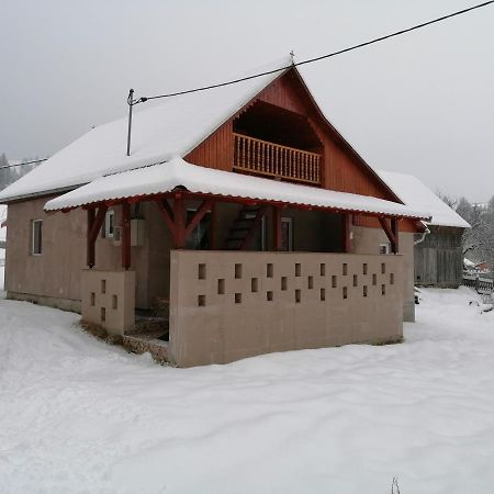Ferienwohnung Ugralet Lunca de Sus Exterior foto