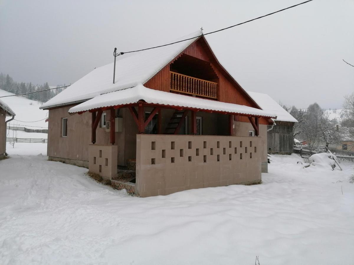 Ferienwohnung Ugralet Lunca de Sus Exterior foto